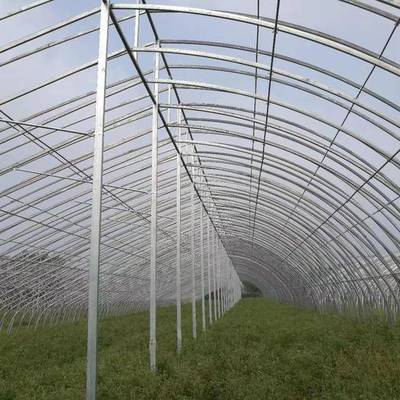蔬菜温室大棚怎样种植才能盈利?