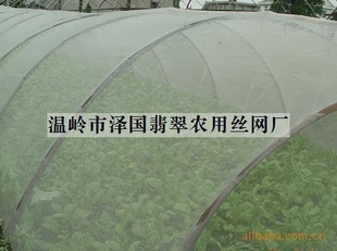 【水培大棚蔬菜种植利润好吗】价格、产品供应,水培大棚蔬菜种植利润好吗厂家批发-1024商务网